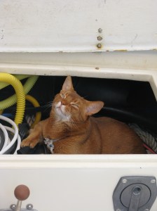 A Place for Everything, and Everything in its Place--Makani