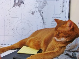 ????????????????????????????