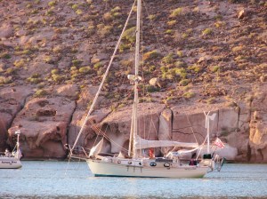 Willow at Ensenada Grande