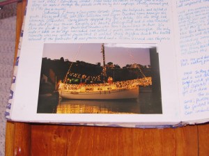 Zapatito in her Christmas finery...